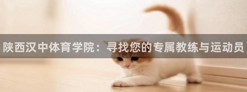 JJB竞技宝官方正版app官方：陕西汉中体育学院：寻