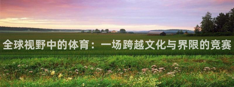 JJB竞技宝官网下载平台是正规平台吗安全吗：全球视野