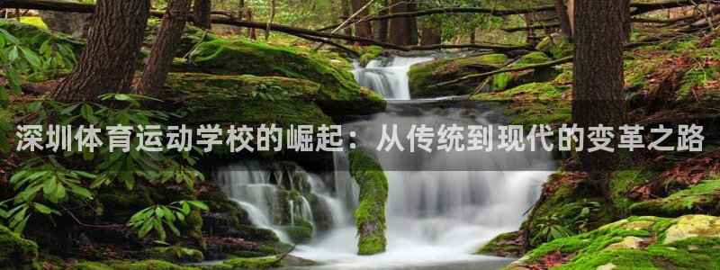 注册JJB竞技宝官方正版app：深圳体育运动学校的崛