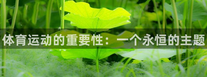 JJB竞技宝官方正版app五金厂：体育运动的重要性：