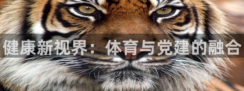 JJB竞技宝官网下载官方客服电话：健康新视界：体育与