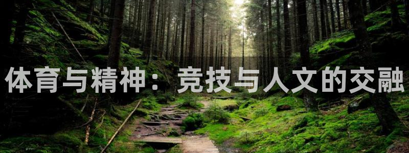JJB竞技宝官方正版app娱乐首页官网下载：体育与精