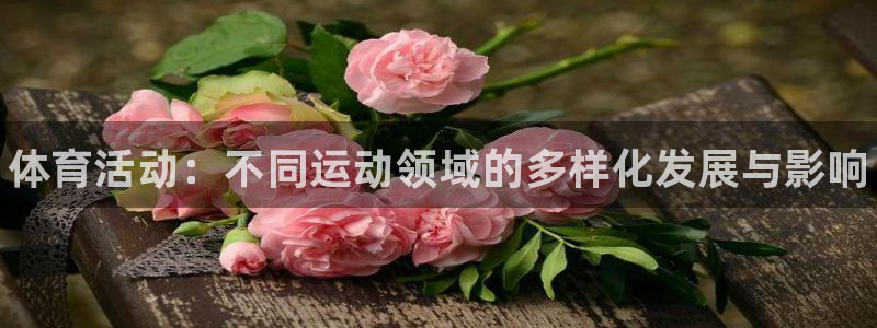海南JJB竞技宝官网下载发展怎么样：体育活动：不同运动领域的