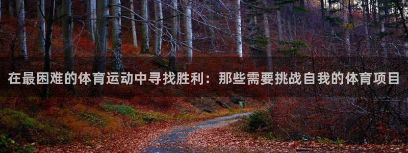 JJB竞技宝官网下载平台：在最困难的体育运动中寻找胜