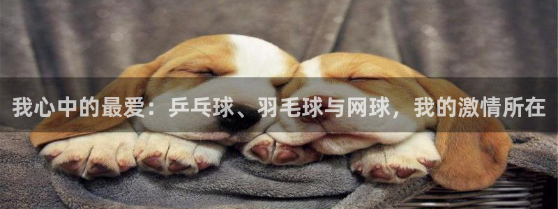 JJB竞技宝官网下载招商电话号码查询：我心中的最爱：乒乓球、