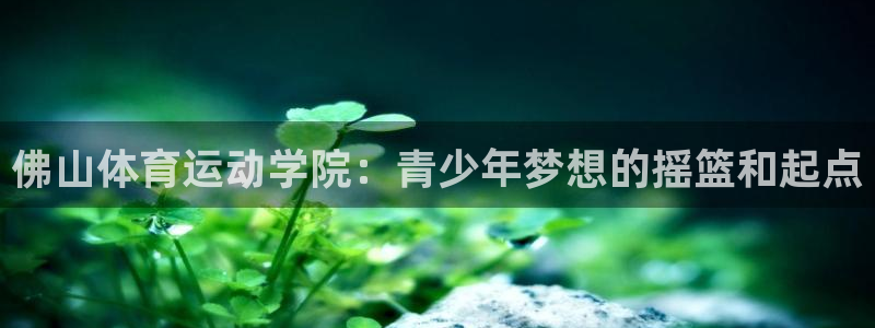 JJB竞技宝官网下载招商电话号码是多少号：佛山体育运动学院：