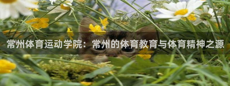 JJB竞技宝官网下载招商电话是多少啊：常州体育运动学院：常州