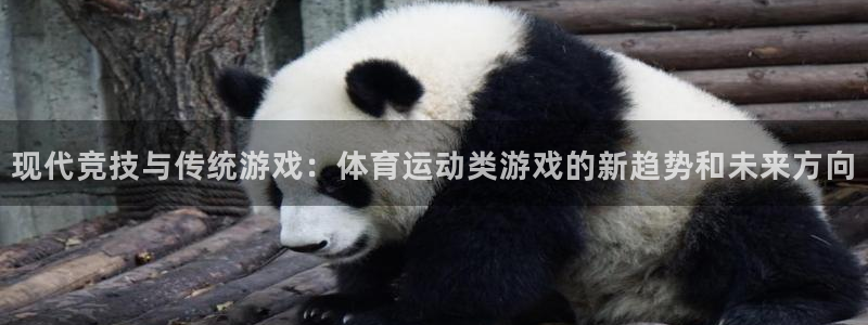 JJB竞技宝官方正版app娱乐首页网站大全：现代竞技与传统游