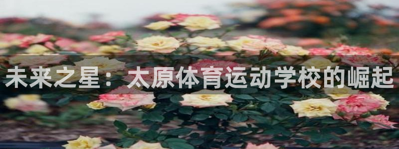 JJB竞技宝官网下载是干嘛的公司：未来之星：太原体育运动学校