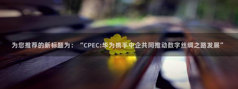 新球体育足球官网：为您推荐的新标题为：“CPEC:华为携手中企共同推动数字丝绸之路发展”