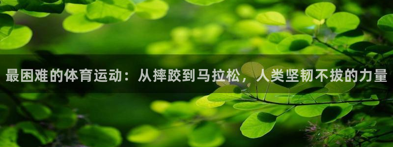 竞技宝黑款