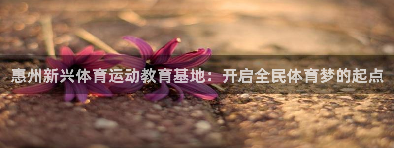 竞技宝app官网入口下载