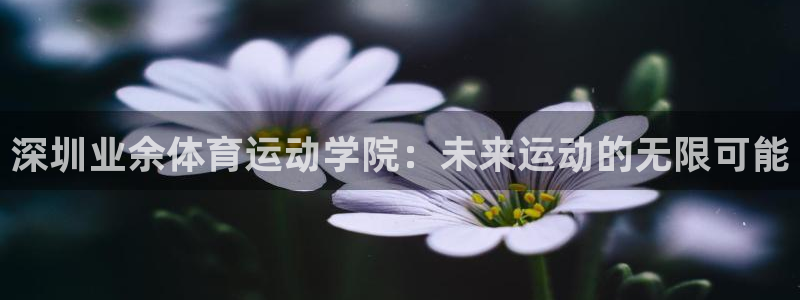 竞技宝app测速官网最新版本更新内容