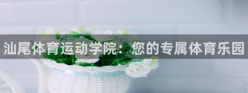 竞技宝客服连不上怎么回事儿
