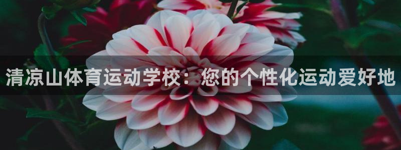 竞技宝app最新下载苹果：清凉山体育