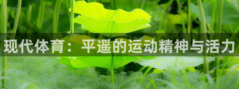 竞技宝官方登录：现代体育：平遥的运动
