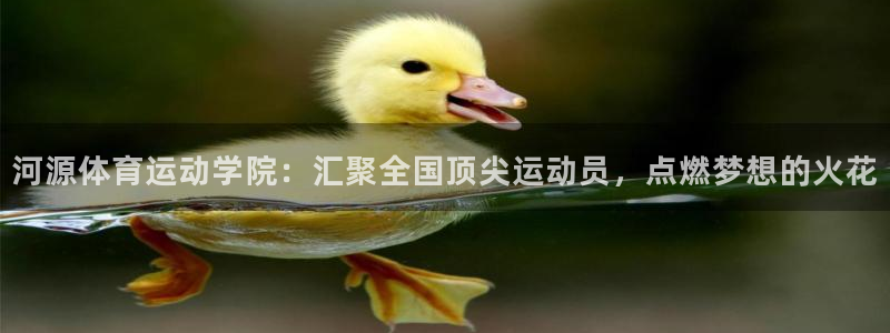 竞技宝下载ios：河源体育运动学院：