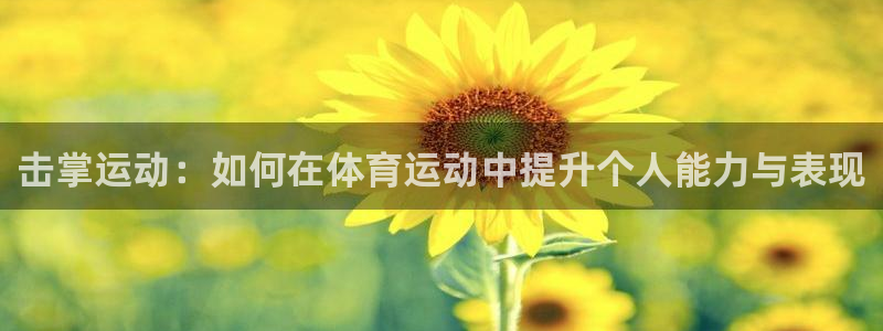  竞技宝进不去：击掌运动：如何在体育运动中提升个人能力与表现