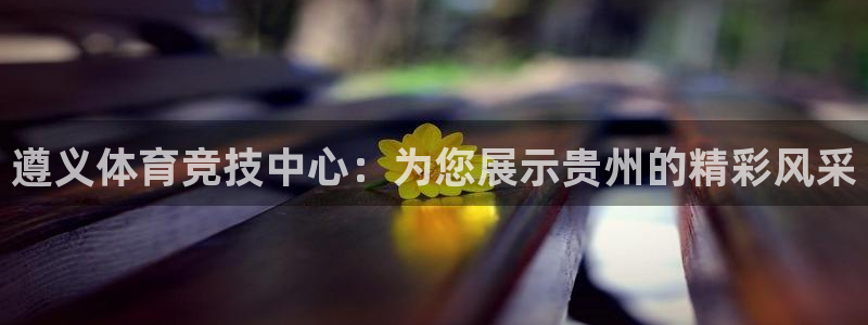  竞技宝可以玩什么平台不如哈哈电竞：遵义体育竞技中心：为您展示