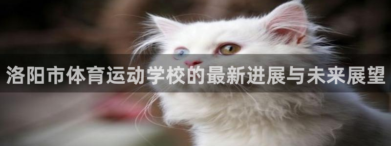 竞技宝ios 下载：洛阳市体育运动学校的最新进展与未来展望