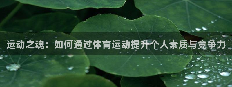  竞技宝官网登陆：运动之魂：如何通过体育运动提升个人素质与竞争