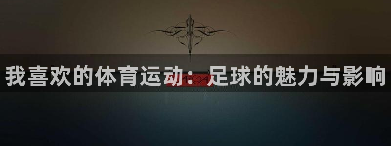 竞技宝平台官方网站最新版本更新内容：我喜欢的体育运动：足球的