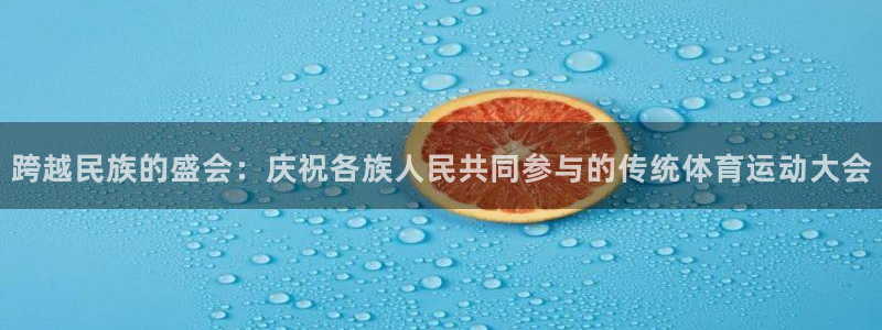 竞技宝什么网站：跨越民族的盛会：庆祝各族人民共同参与的传统体