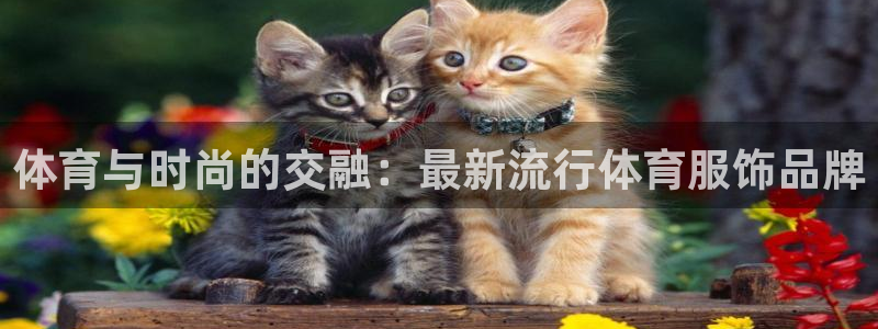  竞技宝不能用了：体育与时尚的交融：最新流行体育服饰品牌