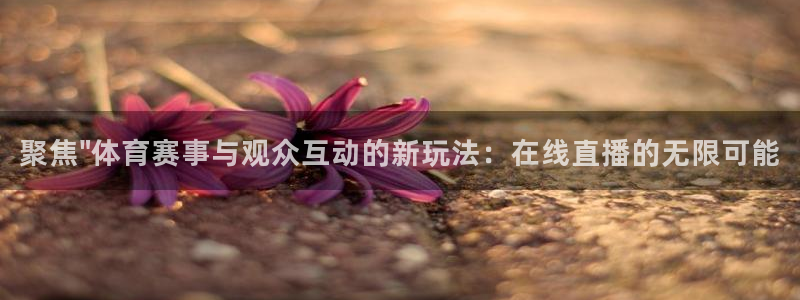 新球体育即时分：聚焦\