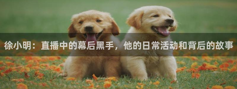 新球体育足球：徐小明：直播中的幕后黑手，他的日常活动和背后的故事