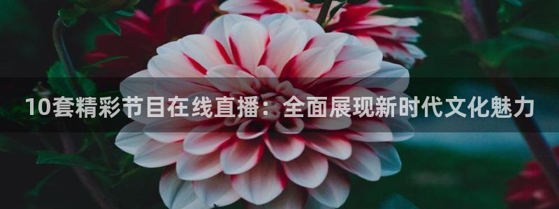 新球体育完整版：10套精彩节目在线直播：全面展现新时代文化魅力