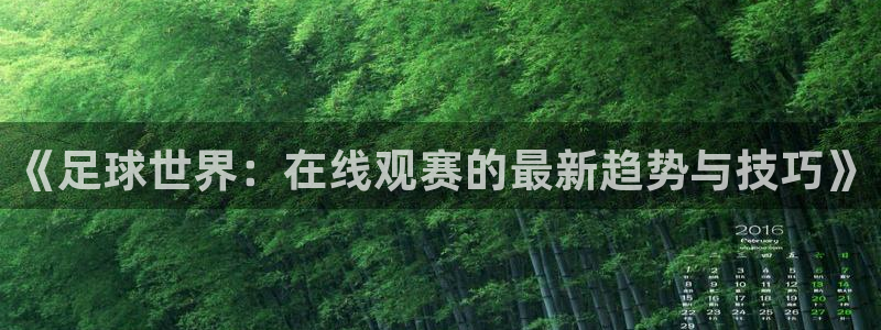 新球体育足球即时比分：《足球世界：在线观赛的最新趋势与技巧》