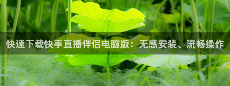 新球体育app：快速下载快手直播伴侣电脑版：无感安装、流畅操作