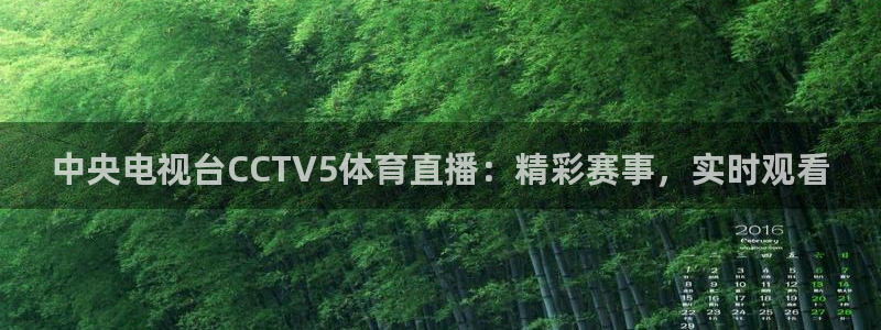 新球体育即时分：中央电视台CCTV5体育直播：精彩赛事，实时观看