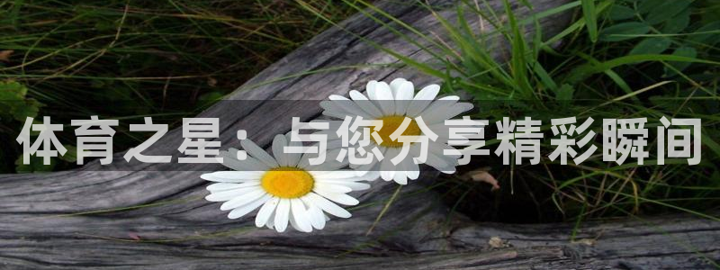 新球直播：体育之星：与您分享精彩瞬间